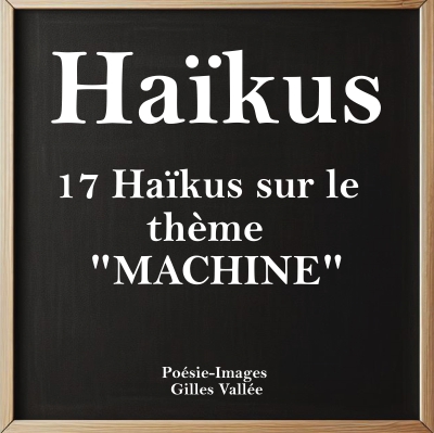 Logigramme de poésie mécanique — Série de 17 haïkus sur le thème de la ...
